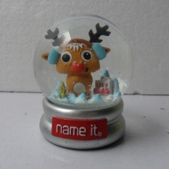 Name It-SnowGlobe