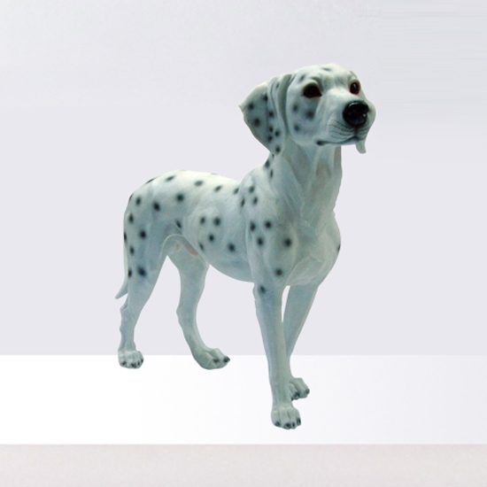 Dalmatinan Dog
